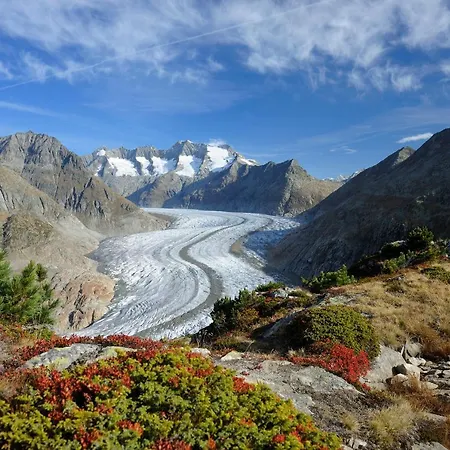 Lotus Ug Appartement *