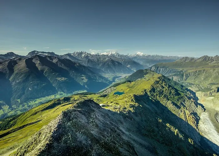 Lotus Ug Daire Fiesch