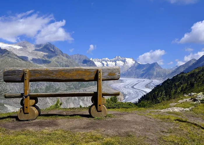 Lotus Ug Daire Fiesch