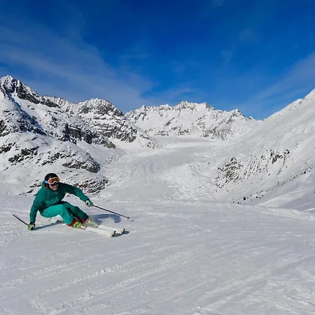 Appartement Lotus Ug Fiesch