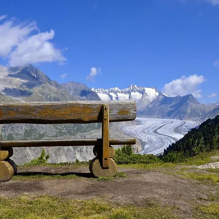 Lotus Ug Apartment Fiesch